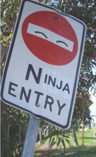 Vandalism - Ninja.JPG